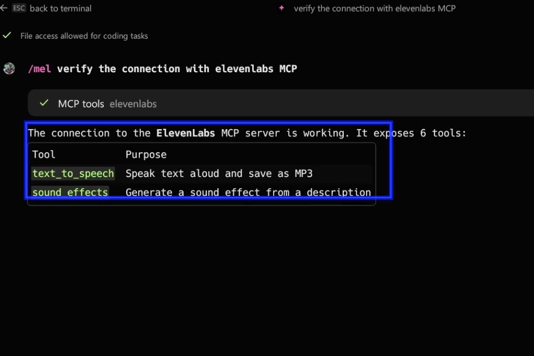 The agent checking an MCP server: the MCP tools line and the table of the tools the server exposes